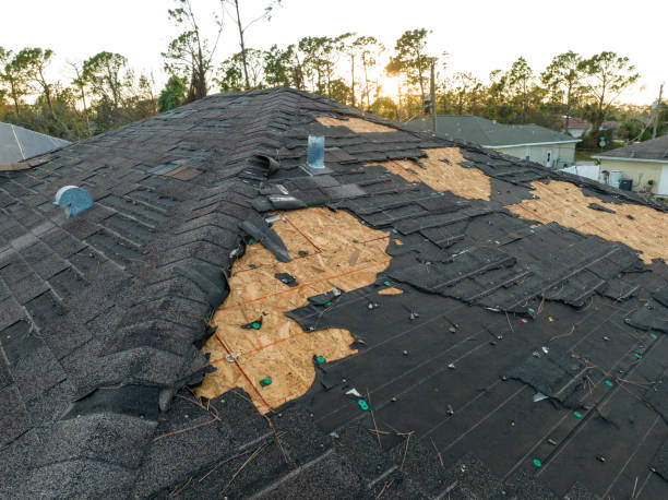 Best Roof Insulation Installation  in Lamesa, TX